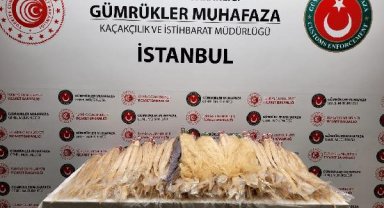 Sabiha Gökçen'de 54 kilo insan saçı ele geçirildi