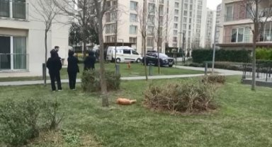 Sancaktepe'de 3 çocuk ile babaları ölü bulundu -1