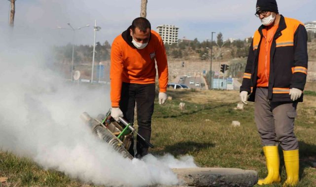 Şanlıurfa'da vektör ile mücadele sürüyor