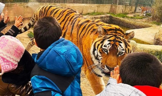 Sevgi evlerinde kalan çocuklar ara tatilde doyasıya eğlendi