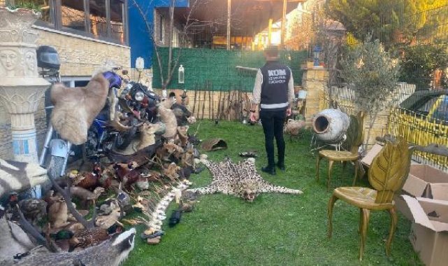 Silivri'de tarihi eser operasyonu