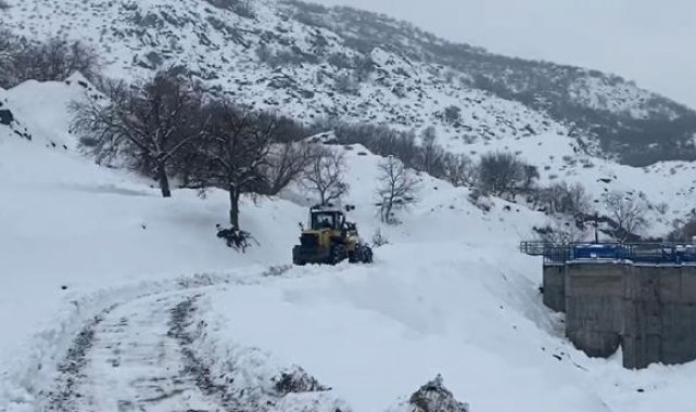 Şırnak'ta 20 köy ve 8 mezra yolu kardan kapandı