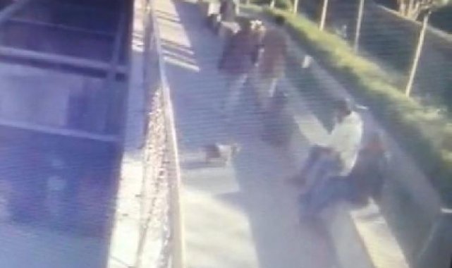 Şişli'de çalınan köpeği sahibine satmak isterken yakalandılar