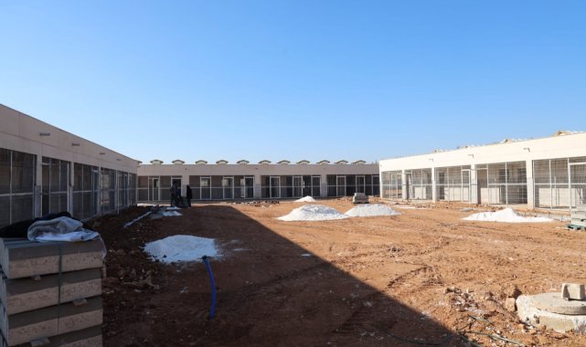 Sokak hayvanları sıcak yuvalarına kavuşuyor