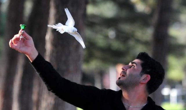 Uçmasına rağmen hep geri dönen 'Ponçik', sahibi ile çarşı, pazar, AVM geziyor