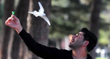 Uçmasına rağmen hep geri dönen 'Ponçik', sahibi ile çarşı, pazar, AVM geziyor