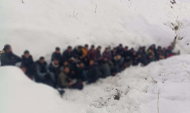 Van'da 240 kaçak göçmen yakalandı, 5 organizatör tutuklandı