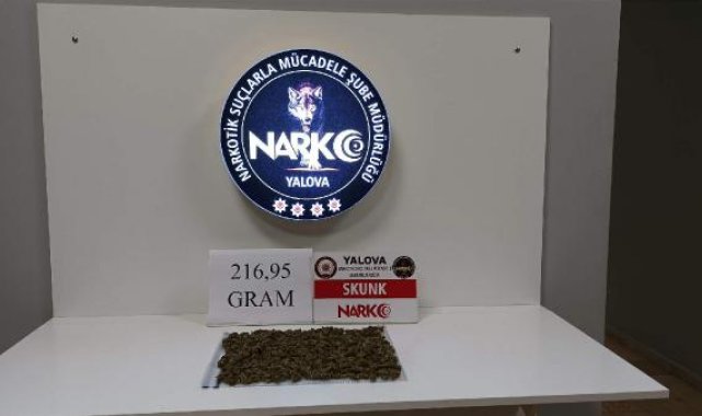 Yalova'da uyuşturucu operasyonlarına 1 tutuklama