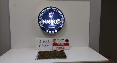 Yalova'da uyuşturucu operasyonlarına 1 tutuklama