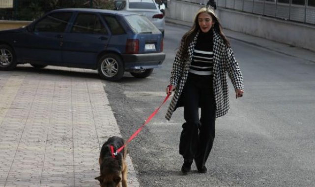 Yaralı köpek, 6 aylık fizik tedaviyle sağlığına kavuştu