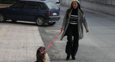 Yaralı köpek, 6 aylık fizik tedaviyle sağlığına kavuştu