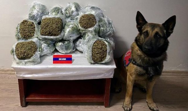 Yolcu otobüsündeki uyuşturucuyu 'Asır' buldu
