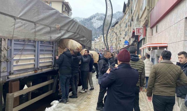 2 yıl önce sel felaketi yaşayan Dereli deprem bölgesine yardım için "Şimdi sıra bizde" dedi