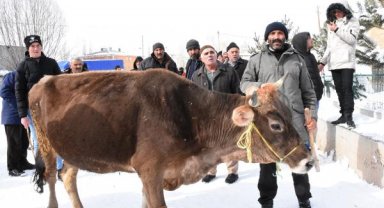 20 büyükbaş toplayıp, açık artırmayla deprem bölgesine yardım yaptılar
