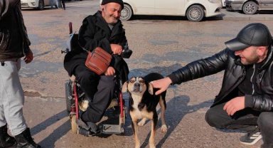 3 ay önce sahiplendiği köpek, hastane kapısından ayrılmadı