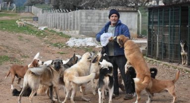 'Gözyaşı Çiftliği' can dostlara yuva oldu