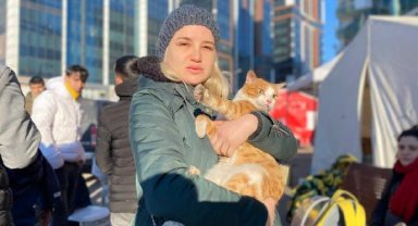 'Neva' adlı kedi 72'nci saatte enkazdan çıktı, sahipleri abla kardeş aranıyor