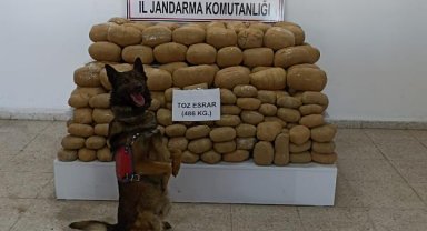 486 kilo esrarı narkotik köpeği 'Kaşkol' buldu