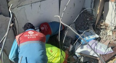 7 katlı binanın enkazından 178 saat sonra kurtarılan kediye 'Umut' ismi verildi