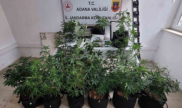 Adana'da uyuşturucu operasyonu: 3 gözaltı