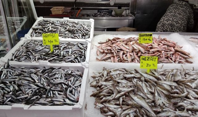 Akçakoca'da balıkçılar balık azlığından dertli