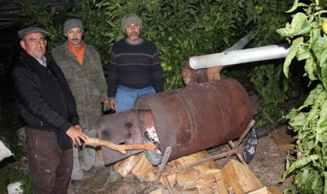 Antalya'da seralarda 'don' nöbeti
