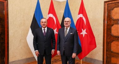 Bakan Çavuşoğlu, Estonya Cumhurbaşkanı Karis ile görüştü