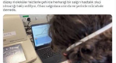 Bakan Koca: Moleküler testlerle salgın hastalık olup olmadığı takip ediliyor
