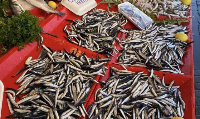 Balıkçılar hamsi bolluğu için soğuk havayı bekliyor