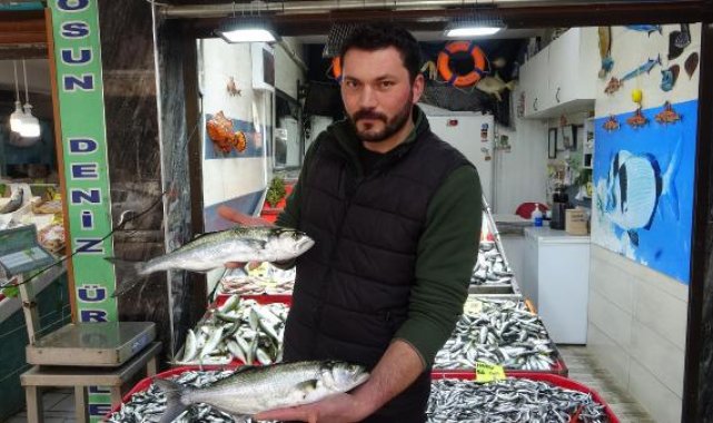 Boğazda hamsi avı yasaklandı, Çanakkale'de lüferin kilosu 350 TL'ye düştü
