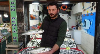 Boğazda hamsi avı yasaklandı, Çanakkale'de lüferin kilosu 350 TL'ye düştü