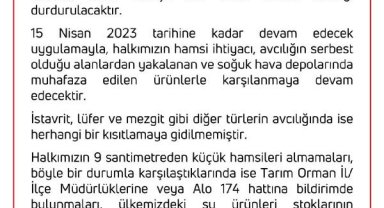 Boğazlarda ve Marmara Denizi'nde 'hamsi avcılığı' 15 Nisan 2023'e kadar durdurulacak