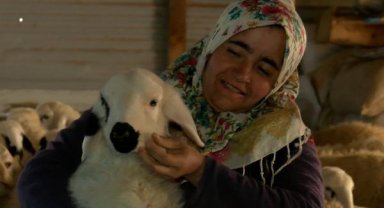 Borçla aldıkları evleri yıkılınca, ahırı ev yaptılar 