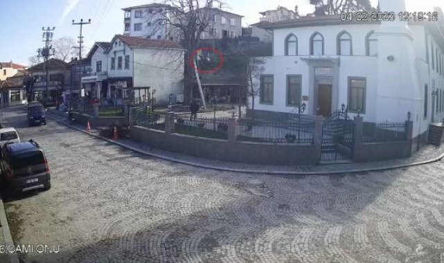 Budamak için çıktığı ağaçtan düşüp öldü