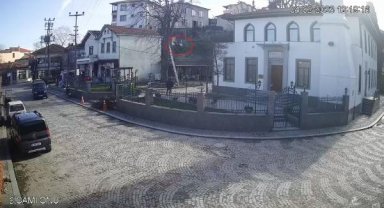 Budamak için çıktığı ağaçtan düşüp öldü