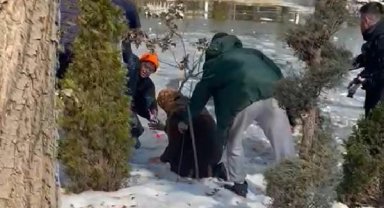Buz tutan gölete düşen depremzede çocuğu polis kurtardı