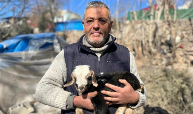 Depremden sonra doğan kuzuya 'Deprem' ismi verildi
