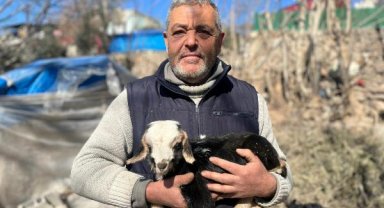 Depremden sonra doğan kuzuya 'Deprem' ismi verildi