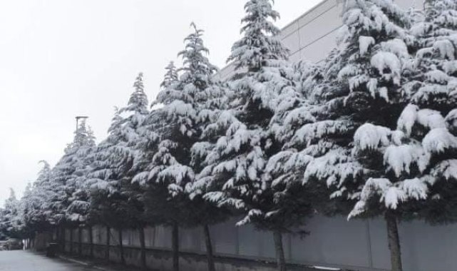Dilovası'nda kar yağışı etkili oldu
