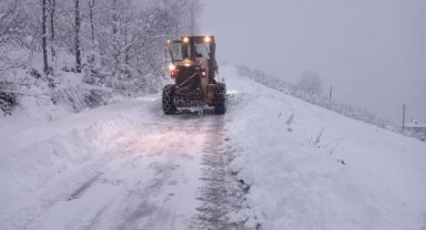 Doğu Karadeniz'de kar; 201 köy ve mahalle yolu kapandı
