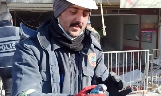 Enkaz bölgesinde bulunan muhabbet kuşuna 'Şanslı' adı verildi