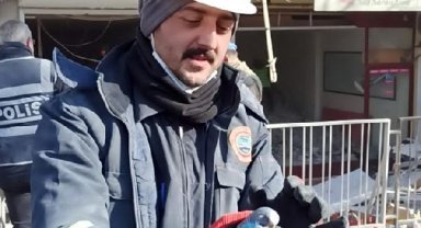 Enkaz bölgesinde bulunan muhabbet kuşuna 'Şanslı' adı verildi