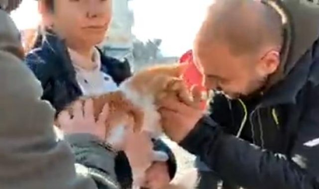 Enkazdan çıkarılan hayvanlar için sahra çadırı