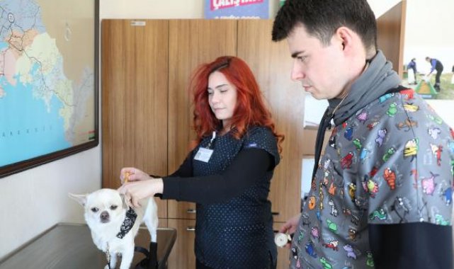 Enkazdan çıkarılan Karamel'in sahibi çipten bulundu