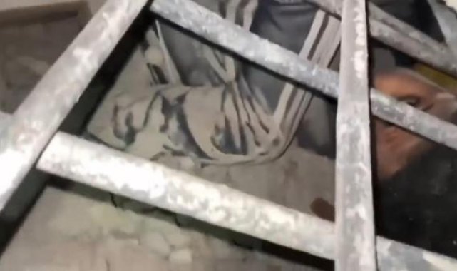 Enkazdan çıkarılan Kerem'e Beşiktaş sözü