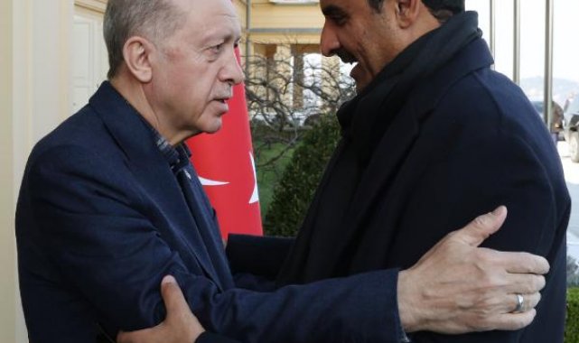 Erdoğan, Katar Emiri Şeyh Temim Bin Hamad Al Sani ile görüşüyor-1