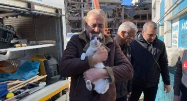 Galeria Sitesi'nde kurtarılan kedi sayısı 12'ye çıktı