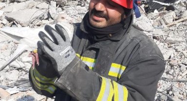 Güvercinler enkazdaki yuvadan ayrılmadı, yavruların öldüğü ortaya çıktı