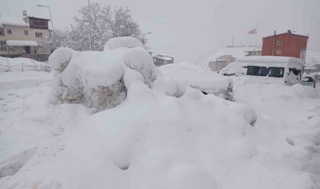 Hakkari'de 100 köy ve 194 mezra yolu kapandı