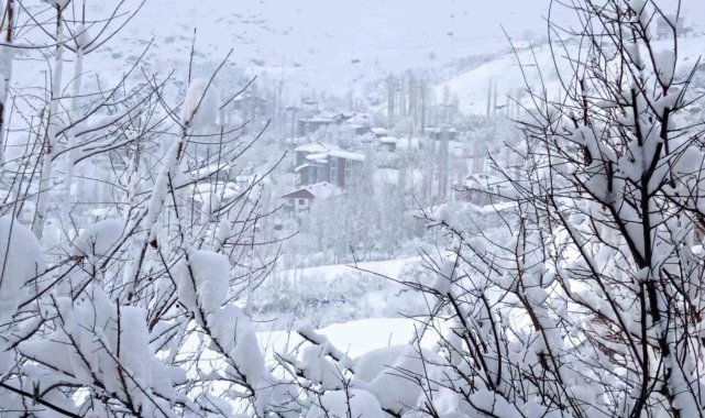 Hakkari'de 109 köy ve 235 mezra yolu kapandı